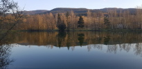 ein Traum am See ein Traum am See