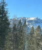 Arber Jan 22 Arber Jan 22